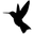 Daysie Syrups logo